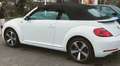 Volkswagen Beetle CABRIO 1.2 TSI 7-G AUTOMATIC "SOUND-PLUS"18-Z ALU Weiß - thumbnail 3