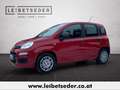 Fiat Panda 4x2 FireFly Hybrid 70 Rot - thumbnail 2