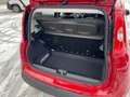 Fiat Panda 4x2 FireFly Hybrid 70 Rot - thumbnail 9