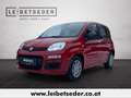 Fiat Panda 4x2 FireFly Hybrid 70 Rot - thumbnail 1