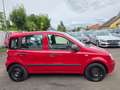 Fiat Panda 1,2 MYLIFE / Neues Pickerl Rot - thumbnail 6