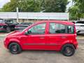 Fiat Panda 1,2 MYLIFE / Neues Pickerl Rot - thumbnail 12