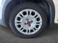 Fiat Panda Panda 1.0 firefly hybrid s&s 70cv Blanc - thumbnail 13