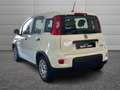 Fiat Panda Panda 1.0 firefly hybrid s&s 70cv Blanc - thumbnail 4