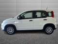 Fiat Panda Panda 1.0 firefly hybrid s&s 70cv Blanc - thumbnail 2