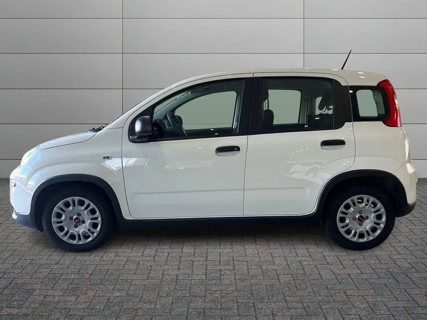 Fiat Panda Panda 1.0 firefly hybrid s&s 70cv Blanc - 2