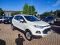 Ford EcoSport 1.0 EcoBoost 125 CV Titanium Bianco - thumbnail 4