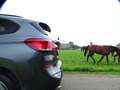 BMW X1 xDrive20i M-Sport | Trekhk | Nav | 18" | Stoelverw Grijs - thumbnail 30