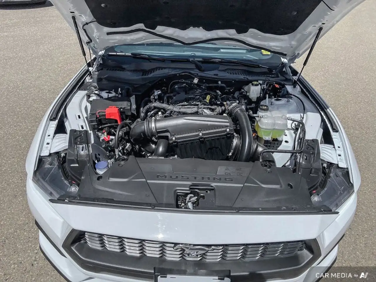 Ford Mustang снимка Ford Mustang