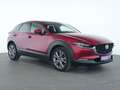 Mazda CX-30 Selection HeadUp|LED|ACC|Kamera|BOSE|SHZ Rot - thumbnail 4