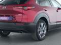 Mazda CX-30 Selection HeadUp|LED|ACC|Kamera|BOSE|SHZ Rot - thumbnail 14