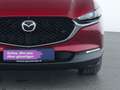 Mazda CX-30 Selection HeadUp|LED|ACC|Kamera|BOSE|SHZ Rot - thumbnail 12