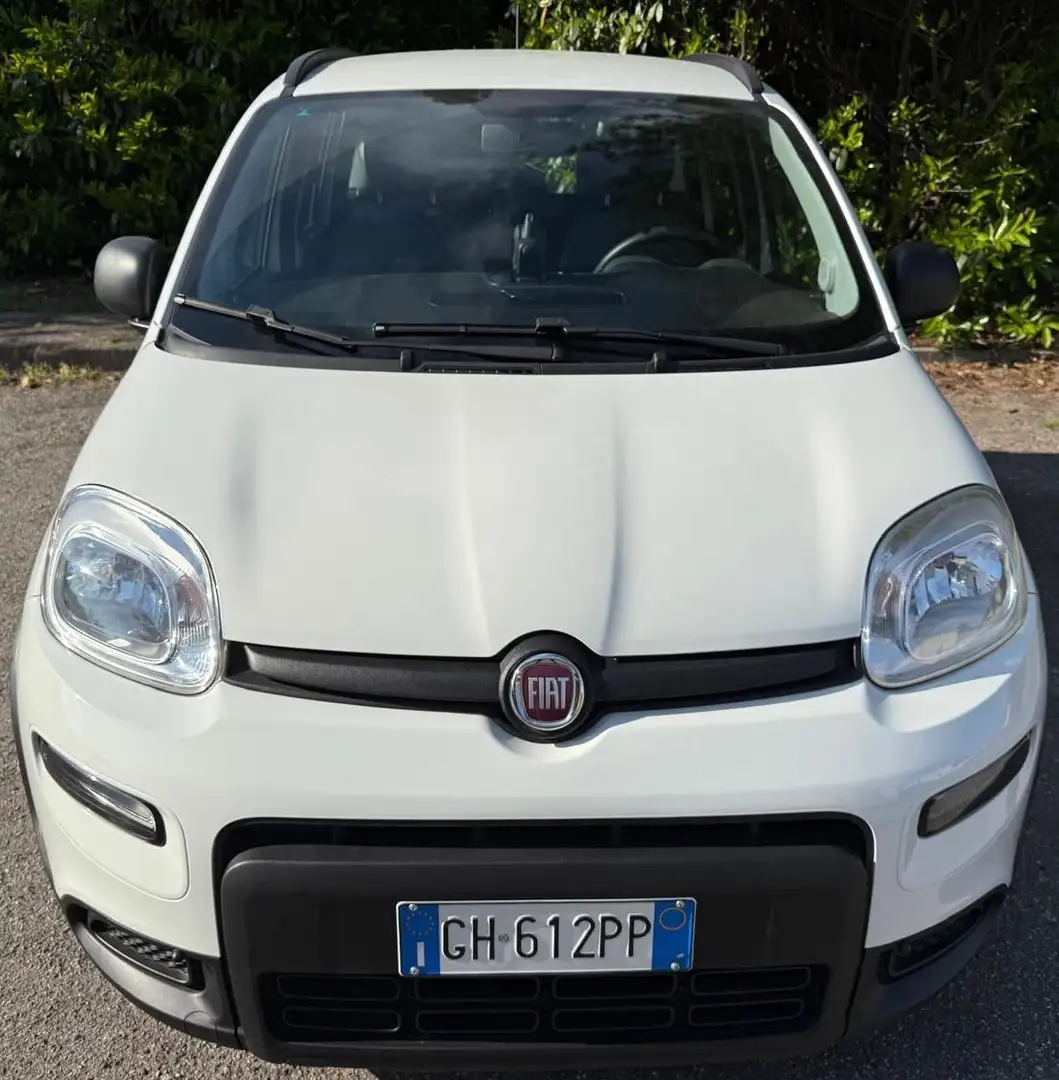 Fiat Panda 1.0 FireFly S&S Hybrid City Life Bianco - 2