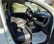 Fiat Panda 1.0 FireFly S&S Hybrid City Life Bianco - thumbnail 15