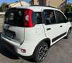 Fiat Panda 1.0 FireFly S&S Hybrid City Life Blanc - thumbnail 16