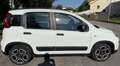 Fiat Panda 1.0 FireFly S&S Hybrid City Life Bianco - thumbnail 13