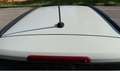 Fiat Panda 1.0 FireFly S&S Hybrid City Life Blanc - thumbnail 30