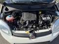 Fiat Panda 1.0 FireFly S&S Hybrid City Life Blanc - thumbnail 29