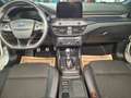Ford Focus Kombi 2.0 EcoBlue ST-Line X - thumbnail 8