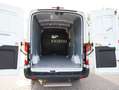Ford Transit Kasten 350 L2H2 Trend Blanc - thumbnail 14