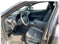 Lexus UX 300h 2,0, 199 PS CVT, 4x2 Hybrid 5-Türer F-SPOR Noir - thumbnail 12