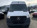 Mercedes-Benz Sprinter 319 CDI AHK 3,5t Klima RCam L3H2 DAB AppleCar Weiß - thumbnail 21