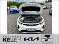 Kia Stonic 1.2 Vision Navi SHZ Lenkradheizung Weiß - thumbnail 15