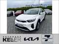 Kia Stonic 1.2 Vision Navi SHZ Lenkradheizung Weiß - thumbnail 1