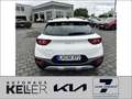 Kia Stonic 1.2 Vision Navi SHZ Lenkradheizung Weiß - thumbnail 5