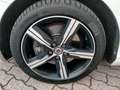 Volvo V40 2.0D3 R-DESIGN GEARTR. 8M M.Y.17 E6 FULL LED/PELLE Bianco - thumbnail 8
