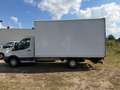 Ford Transit 350 L4 Einzelkabine *Ladebordwand* - thumbnail 7