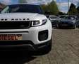 Land Rover Range Rover Evoque 2.0 eD4 2WD Pure Wit - thumbnail 10