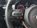 Kia Stonic 1,0 TGDI GPF ISG Gold 48V Weiß - thumbnail 11