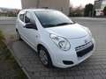 Suzuki Alto Klima, 5-Türer, HU-AU NEU Blanc - thumbnail 7