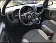 Fiat Panda Panda III 1.0 firefly hybrid s&s 70cv 5posti*PROMO Grau - thumbnail 7