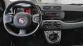 Fiat Panda Panda III 1.0 firefly hybrid s&s 70cv 5posti*PROMO Grau - thumbnail 11