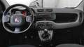 Fiat Panda Panda III 1.0 firefly hybrid s&s 70cv 5posti*PROMO Grau - thumbnail 9