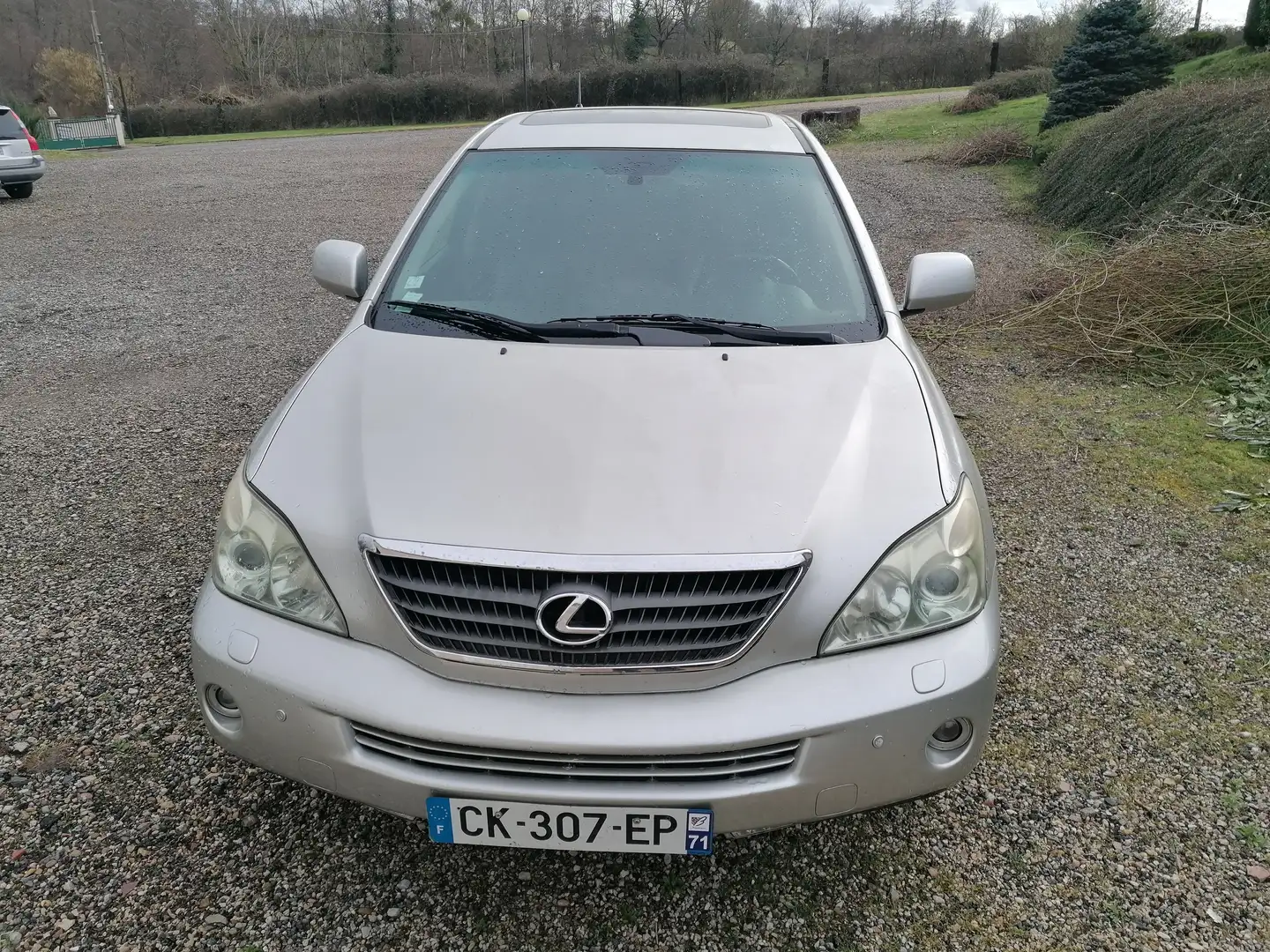 Lexus RX 400 PACK PRESIDENT Grey - 2
