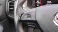 Skoda Kodiaq 2.0 Bi-TDI 4x4 RS 7-Sitzer 360° Canton VC P Rot - thumbnail 21