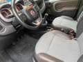 Fiat Panda 0.9 TwinAir Turbo S&S 4x4 CROSS Verde - thumbnail 9