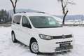 Volkswagen Caddy TDI*AHK2XFlügeltür*Parkhilfe*Assistent Weiß - thumbnail 1