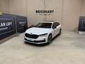 Skoda Superb Combi 2.0 TDI 4x4 Sportline - LEASINGAKTION Weiß - thumbnail 1
