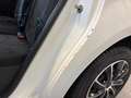 Dacia Sandero Laureate EXPORT Weiß - thumbnail 18