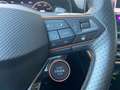 CUPRA Formentor VZ 2.0 TSI 4Drive *Brembo*Pano*AHK*Winter* Weiß - thumbnail 26