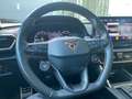 CUPRA Formentor VZ 2.0 TSI 4Drive *Brembo*Pano*AHK*Winter* Weiß - thumbnail 14