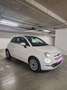 Fiat 500 Fiat 500 FIAT 500 Dolcevita Hybrid | Panorama-Glasdach | Park- & Regensensor | Tempomat | Pickerl & Garantie Limousine Weiß - thumbnail 5