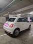 Fiat 500 Fiat 500 FIAT 500 Dolcevita Hybrid | Panorama-Glasdach | Park- & Regensensor | Tempomat | Pickerl & Garantie Limousine Weiß - thumbnail 4