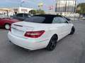 Mercedes-Benz E 350 Cabrio 350CDI BE Aut. Blanco - thumbnail 5