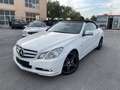 Mercedes-Benz E 350 Cabrio 350CDI BE Aut. Blanco - thumbnail 2