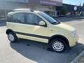Fiat Panda Panda 1.2 4x4 69 CV Giallo - thumbnail 5